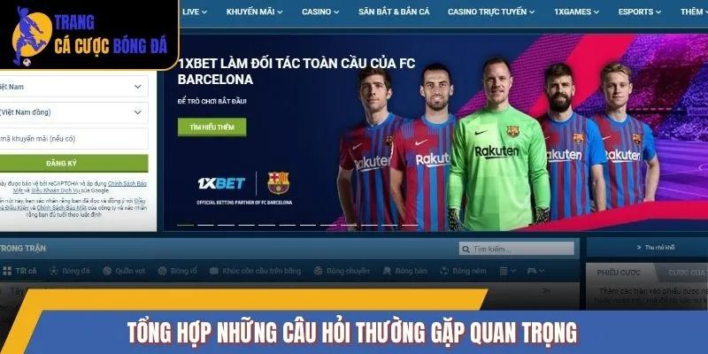 Tổng hợp những câu hỏi thường gặp quan trọng