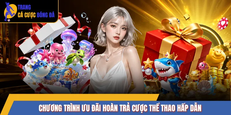 Chương trình ưu đãi hoàn trả cược thể thao hấp dẫn